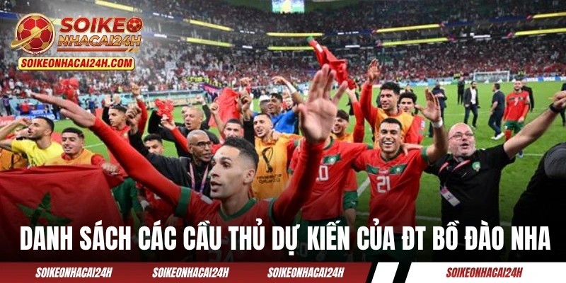 Đội Tuyển Bồ Đào Nha - Cơ Hội Cuối Để CR7 Chạm Tay Cúp Vàng? Danh sách các cầu thủ dự kiến của ĐT Bồ Đào Nha