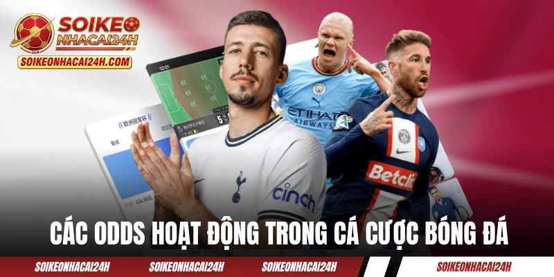 Tỷ Lệ Kèo - Hướng Dẫn Chi Tiết Cách Đọc 4 Loại Odds Hay Gặp Các odds hoạt động trong cá cược bóng đá