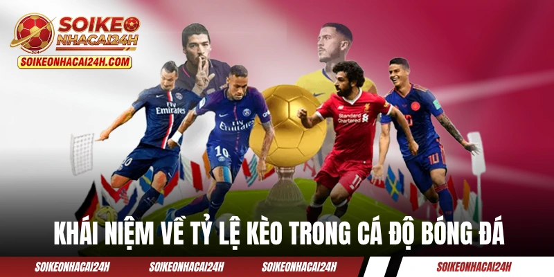 Tỷ Lệ Kèo - Hướng Dẫn Chi Tiết Cách Đọc 4 Loại Odds Hay Gặp Khái niệm chính xác về tỷ lệ kèo trong cá độ bóng đá
