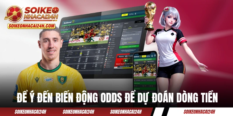 Để ý đến biến động odds để dự đoán dòng tiền